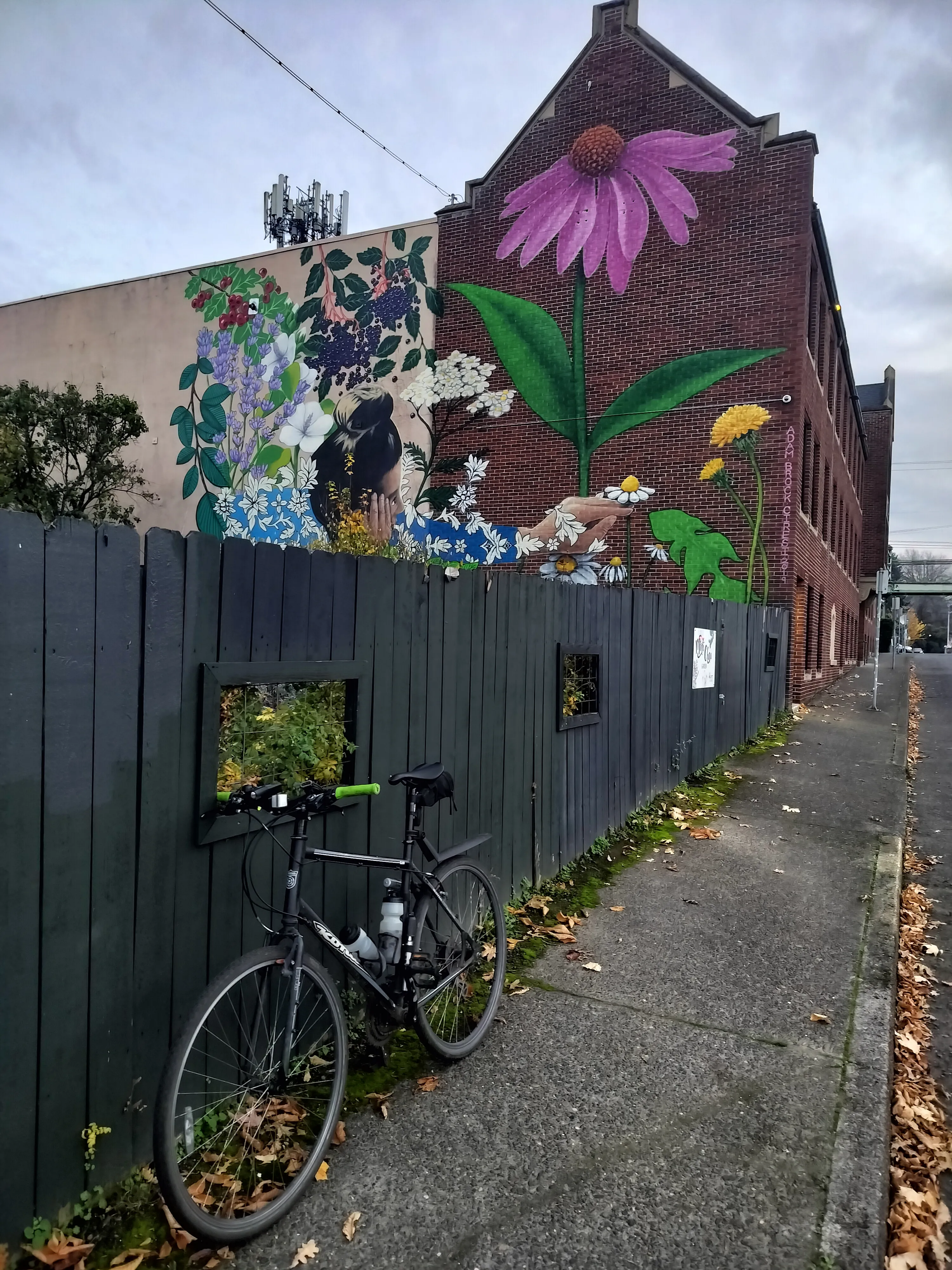 https://portland-biketag.sfo2.cdn.digitaloceanspaces.com/main/portland-tag-1205--mystery.webp