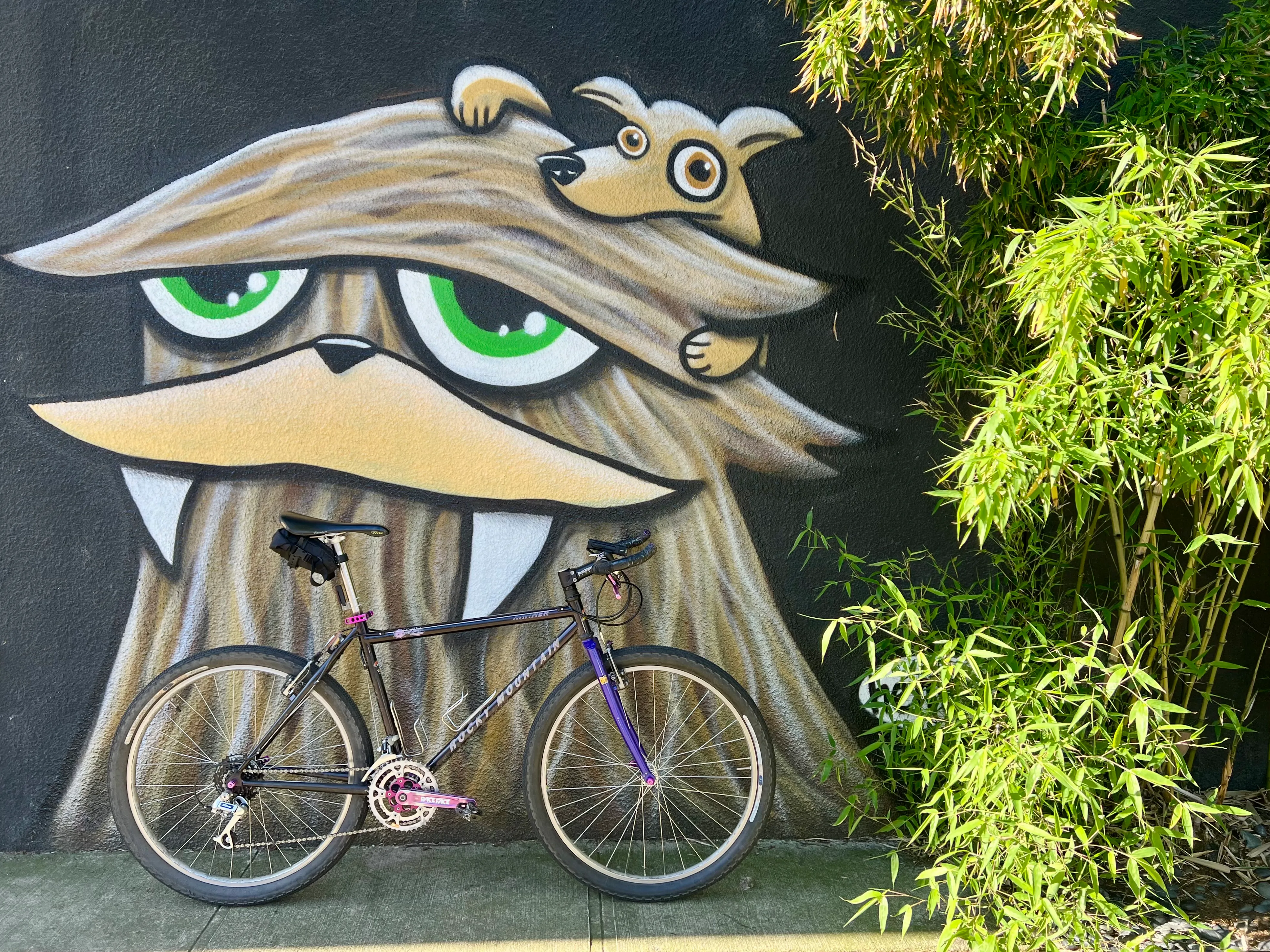 https://portland-biketag.sfo2.cdn.digitaloceanspaces.com/main/portland-tag-1322--mystery.webp
